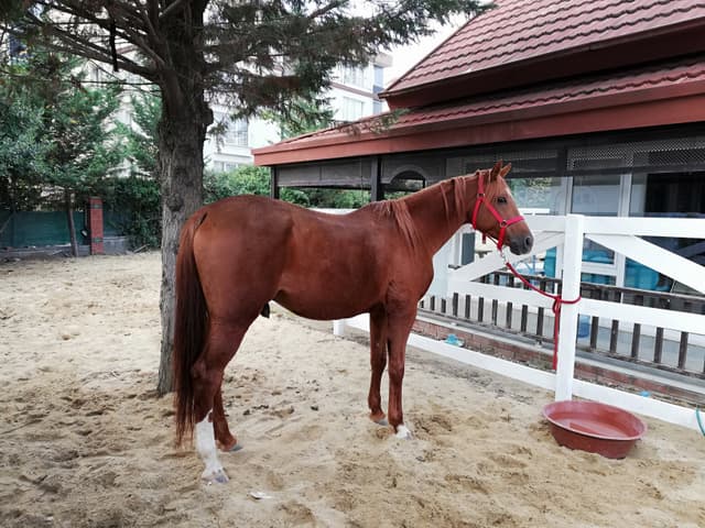 Pera Kampüs Özel Eğitim ve Rehabilitasyon Merkezi